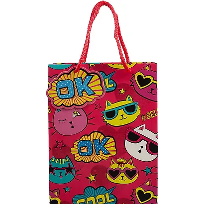 Пакет А5 23*18*10 Comics жен., бум.мат.ламинат, ассорти - фото 2