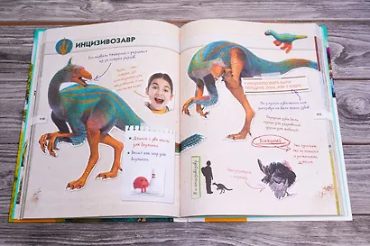 Динозавры. Полный гид - фото 11