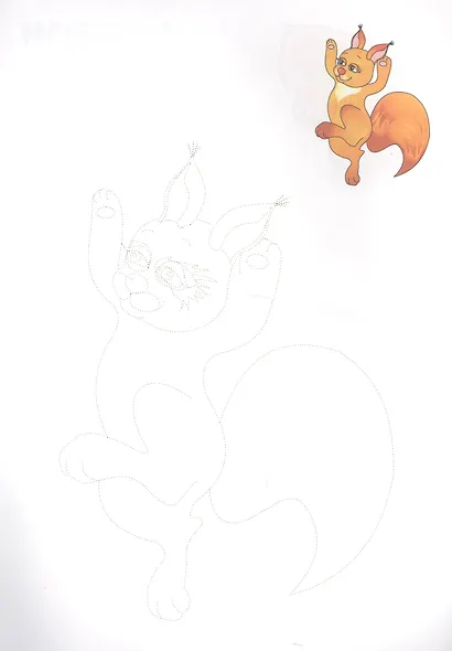 Обведи и раскрась! Дикие животные - фото 4