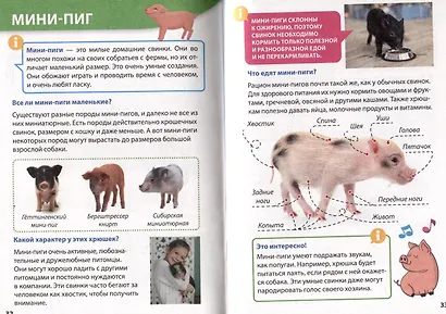 ЭНЦИКЛОПЕДИЯ ДЛЯ МАЛЕНЬКИХ ПОЧЕМУЧЕК. Домашние питомцы - фото 5