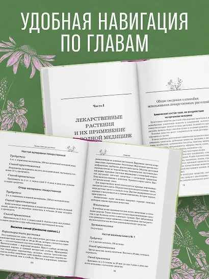 Травник. Самый полный справочник лекарственных растений. Описание 300 растений и способы их применения для лечения и профилактики - фото 6