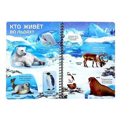 Жизнь на земле. Животные и где они обитают - фото 4