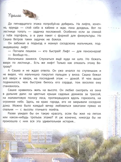 Мои соседи соколы - фото 2