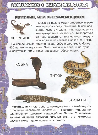 Экзотические обитатели Земли - фото 3