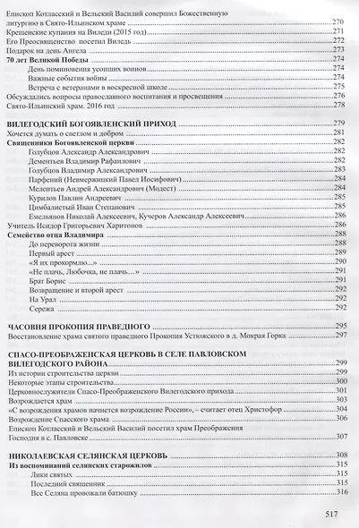 Дорога к храму. Хроника возрождения православных храмов Вилегодского района Архангельской области (1990-2017) - фото 6