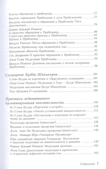 Буддийские медитации: тексты практик и руководств - фото 3