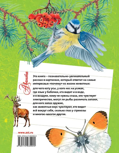 Как живут животные? - фото 2