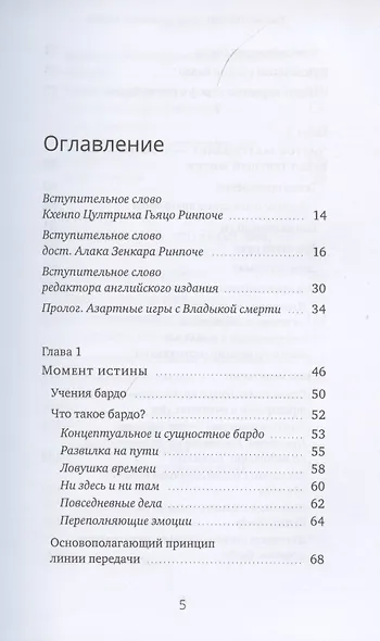 Ум за пределами смерти - фото 2