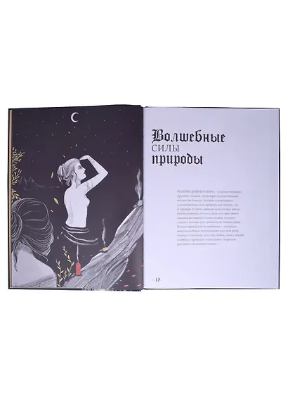 Friday books. Секреты ведьм. История колдовства от Медеи до Сабрины - фото 4