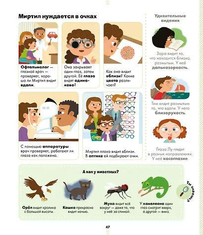 Энциклопедия в картинках. Большая энциклопедия. Тело человека - фото 5