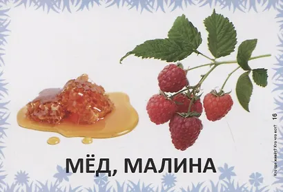 Карточки для умного развития. Кто где живет? Кто что ест? 34 карточки - фото 4