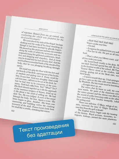 A Portrait of the Artist as a Young Man - фото 6