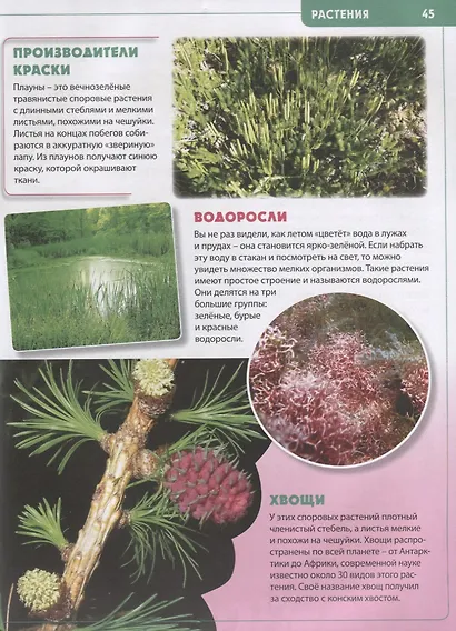 Будущему отличнику! Детская энциклопедия для младших школьников - фото 5