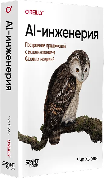 AI-инженерия. Построение приложений с использованием базовых моделей - фото 2