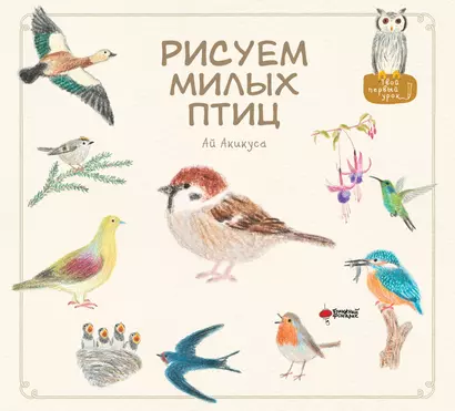 Рисуем милых птиц - фото 1