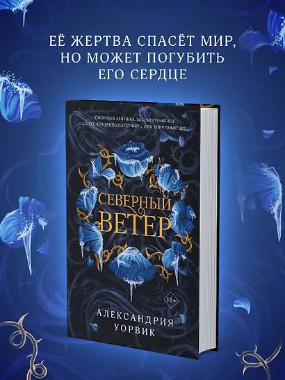 Северный ветер - фото 4