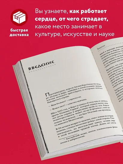 Прямо в сердце. Как главный символ любви превратился в главный орган кровообращения - фото 5