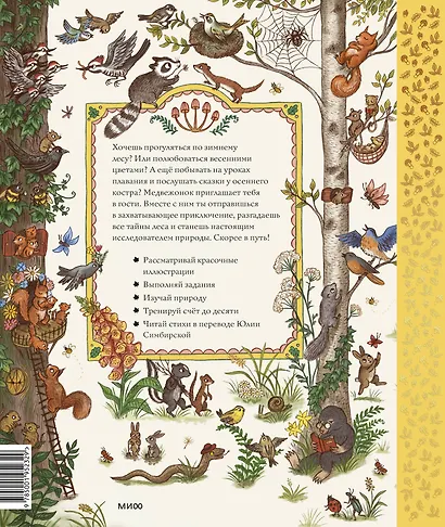 Круглый год в лесу. Виммельбух - фото 2