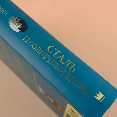 Сталь и солнечный шторм - фото 5