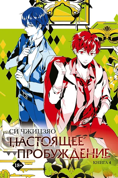 Настоящее пробуждение. Real Awakening. Книга 4 - фото 1