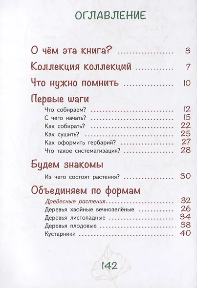 Лето на память. Моя первая коллекция растений - фото 2