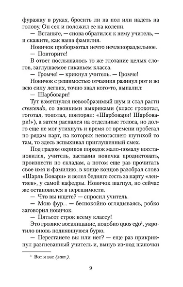 Госпожа Бовари - фото 13