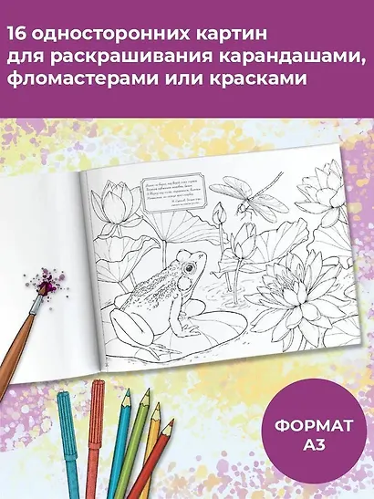 Моя любимая природа - фото 3