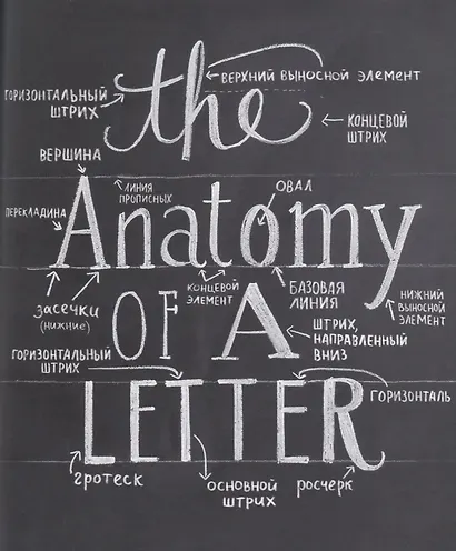 Большая книга мелового леттеринга. Создавай и развивай свой стиль - фото 4