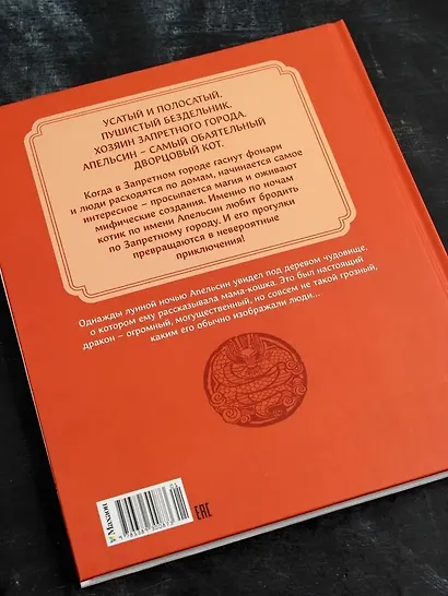 Кот Апельсин в Запретном городе. Книга 1. Игрушка дракона - фото 10