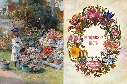 Любимые цветы. Иллюстрированная история - фото 4