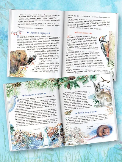 Лесная газета - фото 4