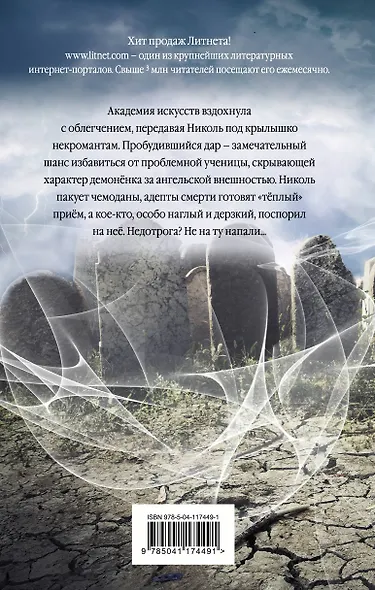 Недотрога в академии некромантов - фото 2