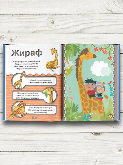 Первая книга малыша 4D - фото 5