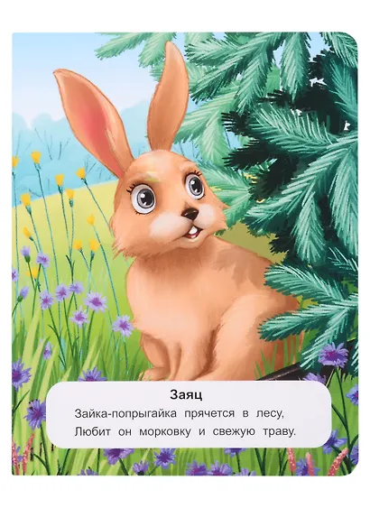 Лесные животные: стихи - фото 5