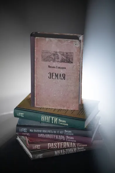 Земля (Михаил Елизаров) - купить книгу в интернет-магазине на book24.ru ...