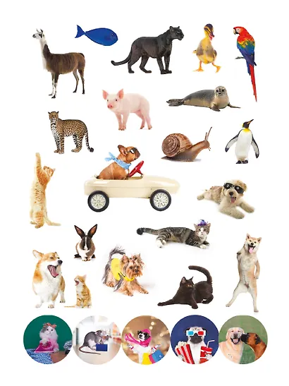 100 НАКЛЕЕК. ЗАБАВНЫЕ ЖИВОТНЫЕ - фото 5