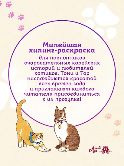 Прогулка с котиками по волшебному Сеулу. Корейская раскраска для души - фото 8