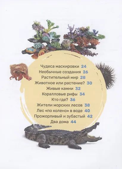 Подводный мир. Первая энциклопедия малыша - фото 3