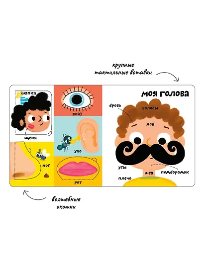 Мои первые 100 слов с большими окошками. Мое тело - фото 5