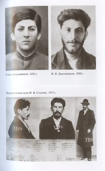 И. Сталин. Судьба и стратегия - фото 15