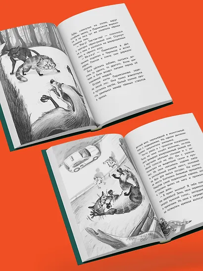 Лето кота Пармезанова - фото 6