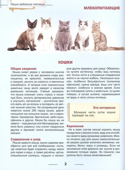 Энциклопедия для детей наши любимые питомцы - фото 3