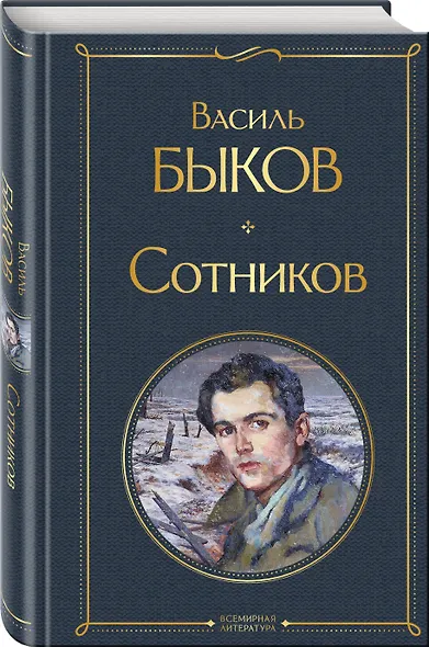Сотников - фото 3