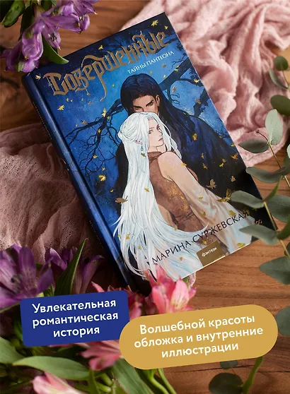 Совершенные. Тайны Пантеона - фото 5