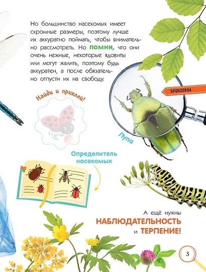 Насекомые. Книжка с неклейками - фото 11
