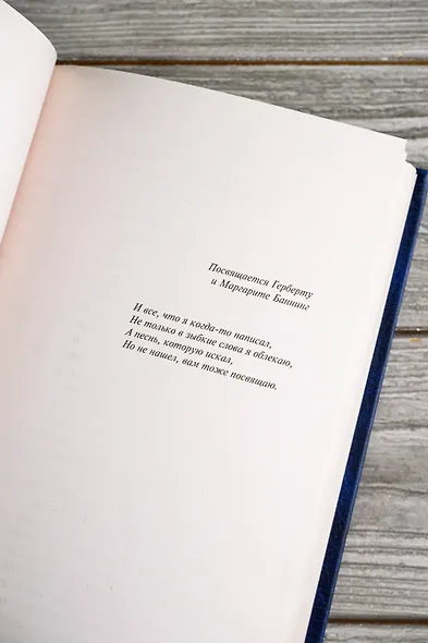 Лиза из Ламбета. Карусель - фото 11