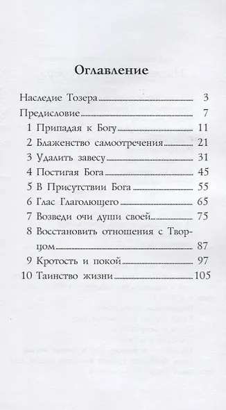 Стремление к Богу (м) Тозер - фото 2