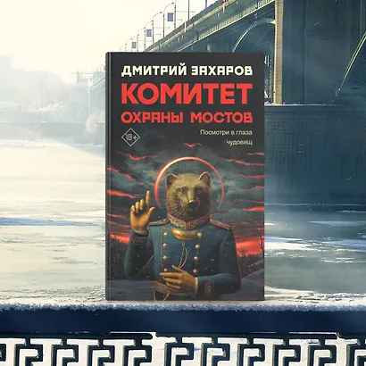 Комитет охраны мостов - фото 5