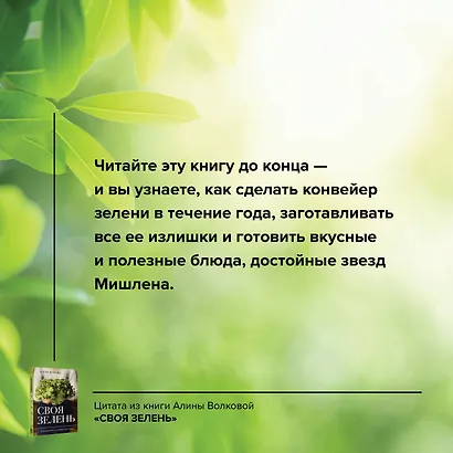 Своя зелень. Выращиваем, ухаживаем и едим - фото 6