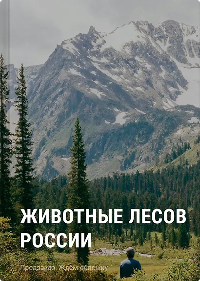 Животные лесов России - фото 1